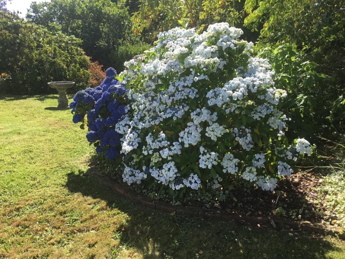 Pa Road B&B Kerikeri Nz Экстерьер фото